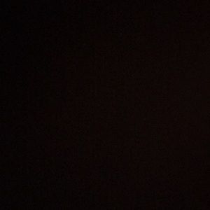 Meet your Posher, Lee